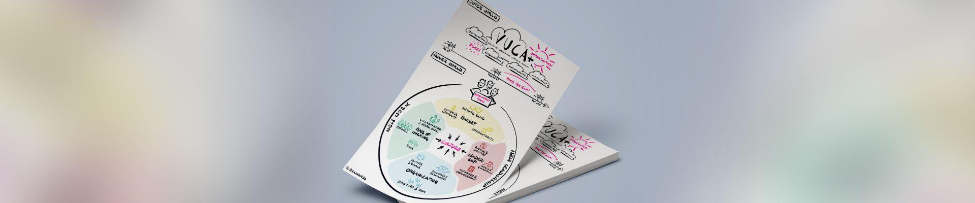 Fokus auf Brainbirds Transformation Framework