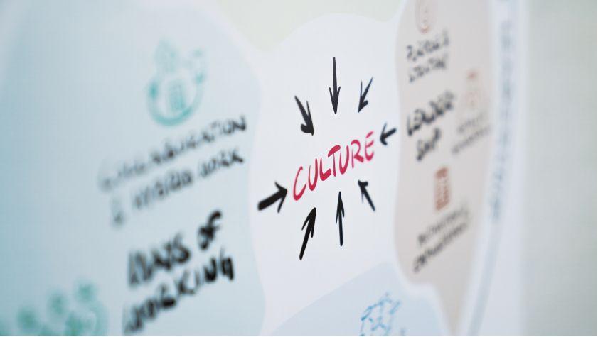 Fokus auf Brainbirds Transformation Framework