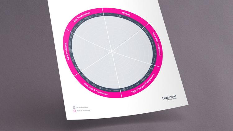 Bild zu Agile Coach Kompass